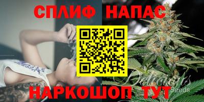 мдпв Тула