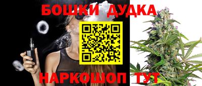 мдпв Тула